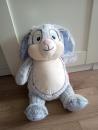 Hase Stern